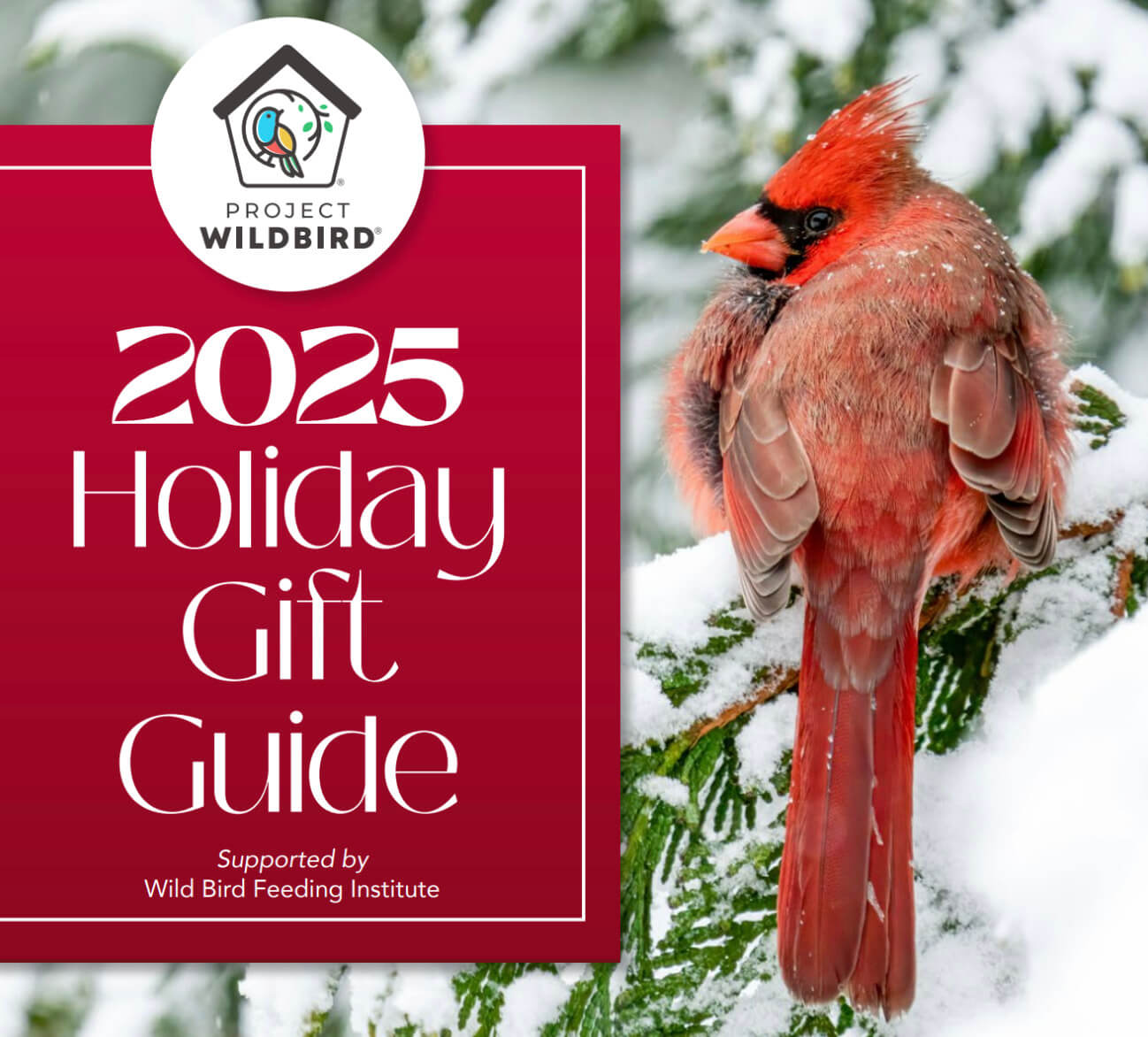 Screenshot 2025-11-26 at 2.38.17 PM